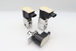 Electronic expansion valves